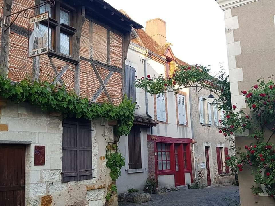 Le Meuble Monestois Villa Mennetou-sur-Cher Екстериор снимка